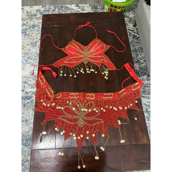 Handmade Belly Dancing outfit From Dubai - Picture 5 of 10